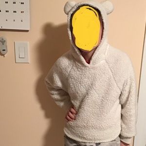 Polar Bear Cropped Hoodie